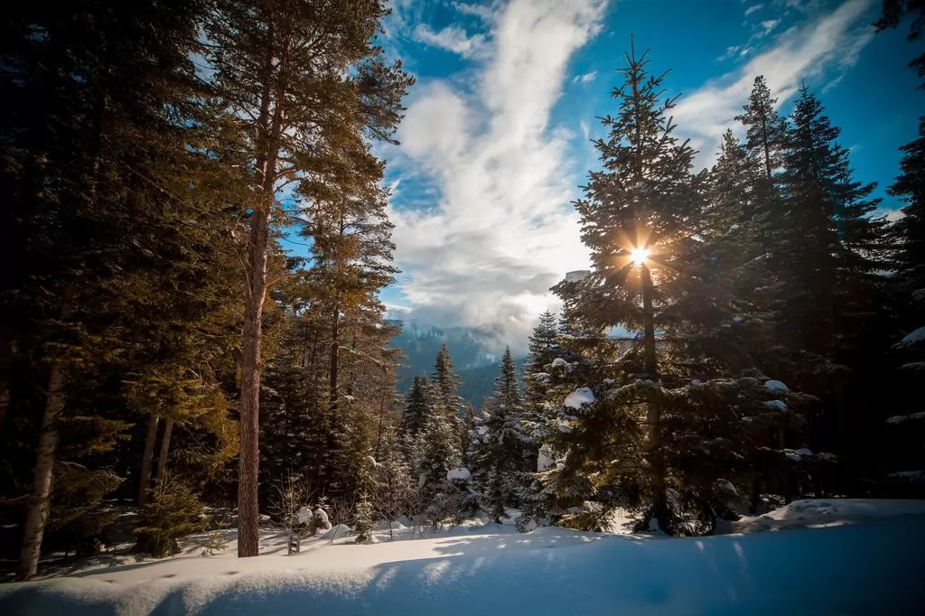 Ferko Ilgaz Mountain Hotel & Resort